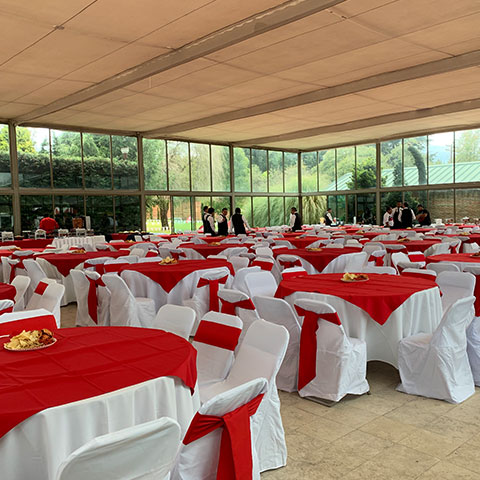 Experiencia Día de la Familia