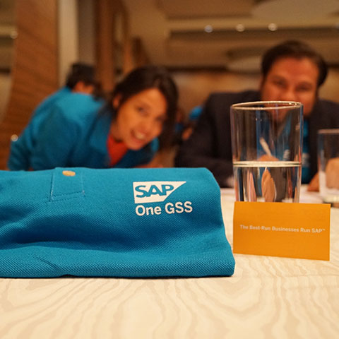 Experiencia SAP Capacitación