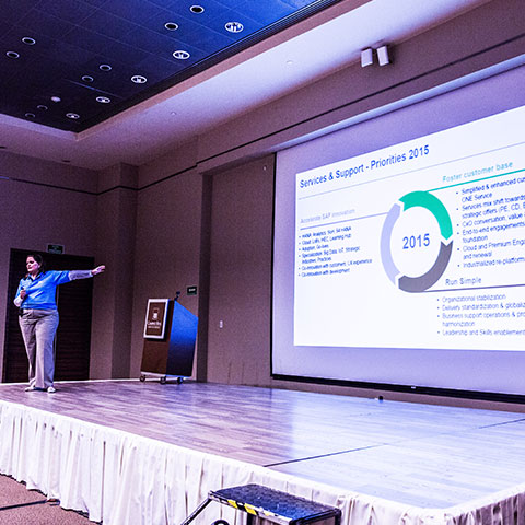 Experiencia SAP Capacitación