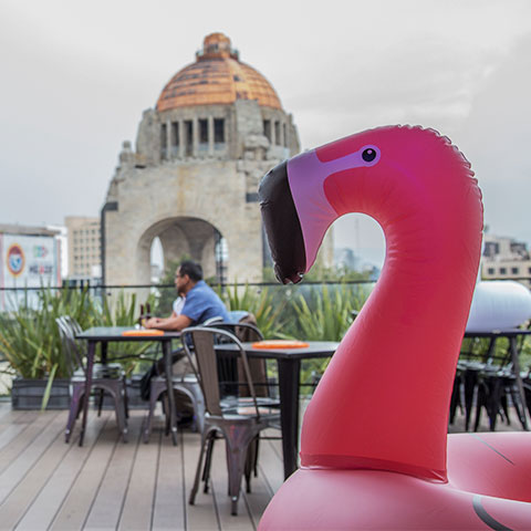 Experiencia Spring Party